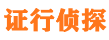 静安市私家侦探